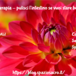 Idrocolonterapia - pulisci l'intestino se vuoi stare bene 2 Idrocolonterapia Pulisci L'intestino Se Vuoi Stare Bene