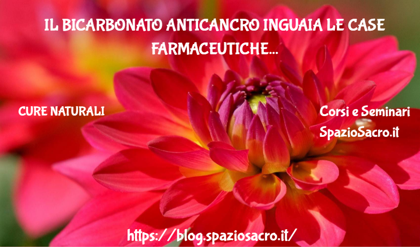 Il bicarbonato anticancro inguaia le case farmaceutiche 1 Il Bicarbonato Anticancro Inguaia Le Case Farmaceutiche