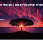 Il cane che raccoglie il cibo per gli animali poveri 2 Il Cane Che Raccoglie Il Cibo Per Gli Animali Poveri