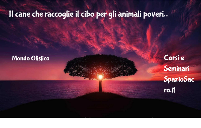 Il Cane Che Raccoglie Il Cibo Per Gli Animali Poveri