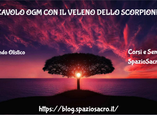Il cavolo ogm con il veleno dello scorpione 85 Il Cavolo Ogm Con Il Veleno Dello Scorpione
