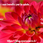 Il Cetriolo E I Suoi Benefici Per La Salute