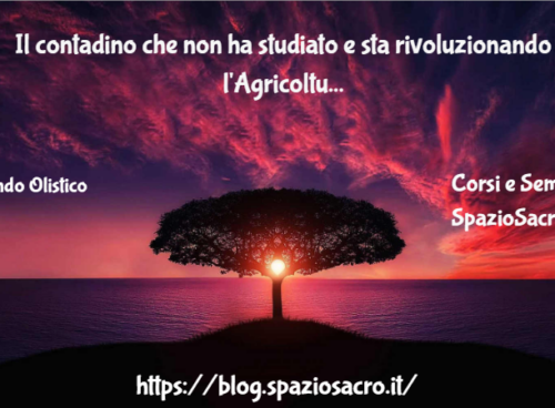 Il Contadino Che Non Ha Studiato E Sta Rivoluzionando L'agricoltura