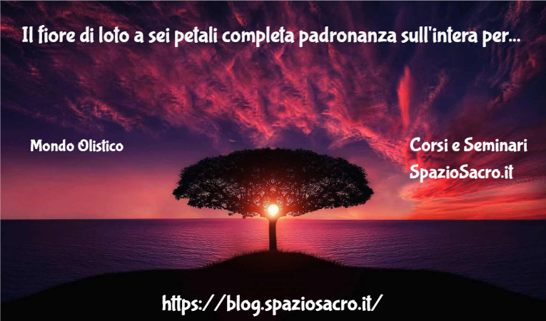 Il fiore di loto a sei petali completa padronanza sull'intera personalita 1 Il Fiore Di Loto A Sei Petali Completa Padronanza Sull'intera Personalita