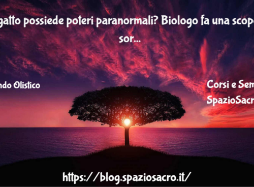 Il gatto possiede poteri paranormali? Biologo fa una scoperta sorprendente! 42 Il Gatto Possiede Poteri Paranormali? Biologo Fa Una Scoperta Sorprendente!