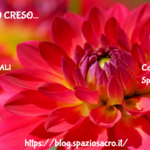 Il grano creso 3 Il Grano Creso