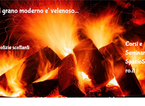 Il Grano Moderno E' Velenoso