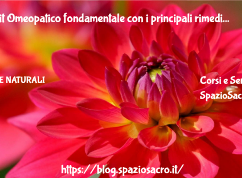 Il Kit Omeopatico Fondamentale Con I Principali Rimedi