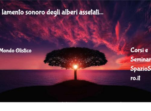Il lamento sonoro degli alberi assetati 36 Il Lamento Sonoro Degli Alberi Assetati