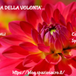 Il mantra della volonta' 3 Il Mantra Della Volonta'