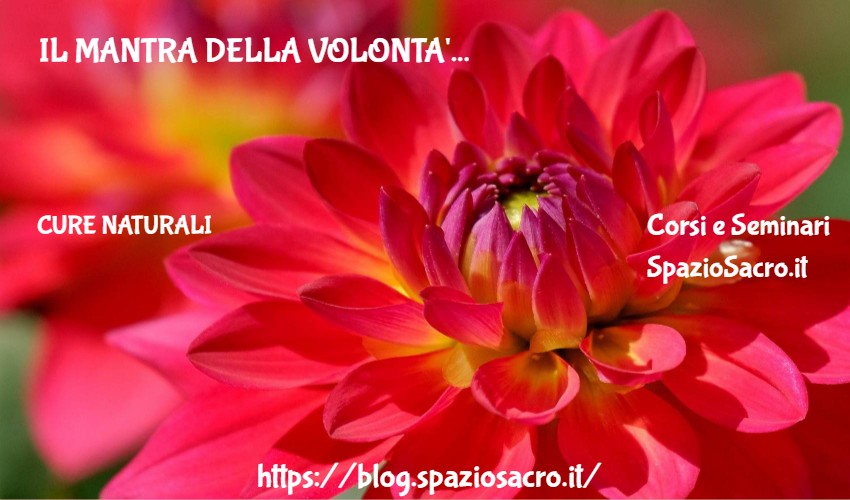 Il mantra della volonta' 1 Il Mantra Della Volonta'