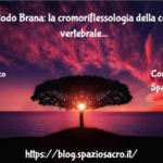Il Metodo Brana: la cromoriflessologia della colonna vertebrale 3 Il Metodo Brana: La Cromoriflessologia Della Colonna Vertebrale