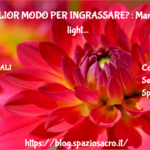 Il Miglior Modo Per Ingrassare? : Mangiate Cibi Light
