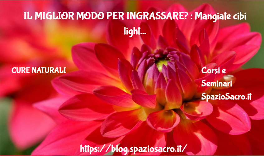 Il Miglior Modo Per Ingrassare? : Mangiate Cibi Light