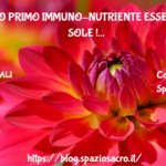 Il Nostro Primo Immuno Nutriente Essenziale: Il Sole !