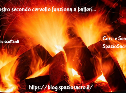 Il Nostro Secondo Cervello Funziona A Batteri