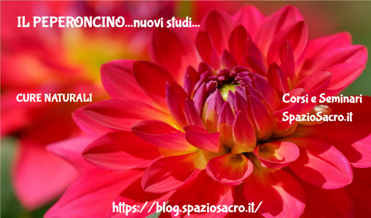 Il Peperoncino...nuovi Studi