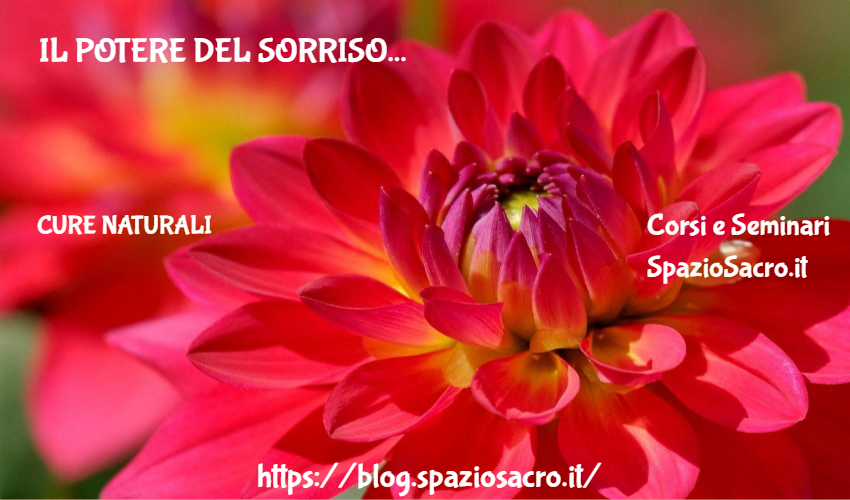 Il potere del sorriso 1 Il Potere Del Sorriso