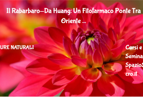 Il Rabarbaro-Da Huang: Un Fitofarmaco Ponte Tra Oriente Ed Occidente 62 Il Rabarbaro Da Huang: Un Fitofarmaco Ponte Tra Oriente Ed Occidente