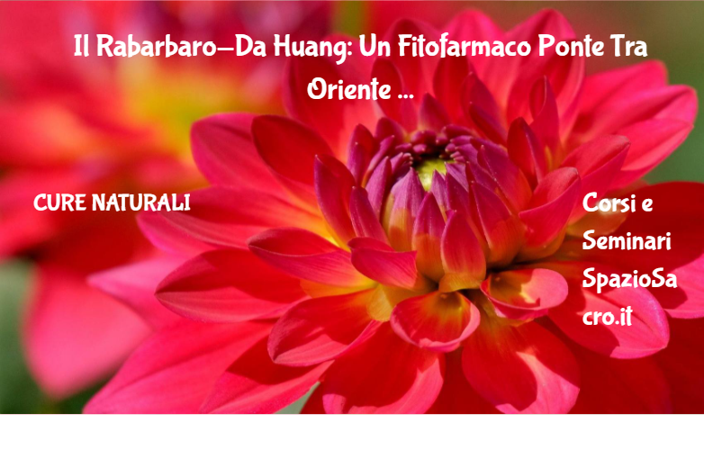 Il Rabarbaro Da Huang: Un Fitofarmaco Ponte Tra Oriente Ed Occidente