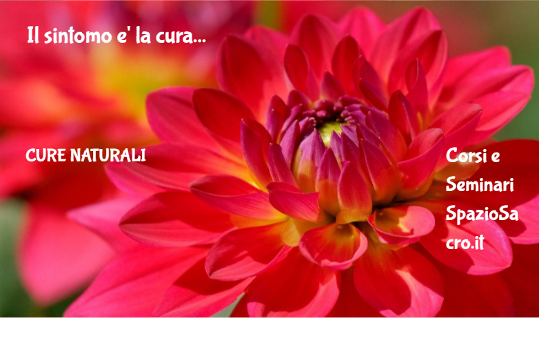 Il Sintomo E' La Cura
