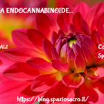 Il sistema endocannabinoide 3 Il Sistema Endocannabinoide