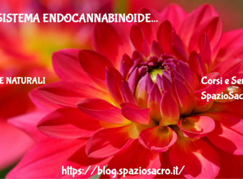 Il sistema endocannabinoide 41 Il Sistema Endocannabinoide