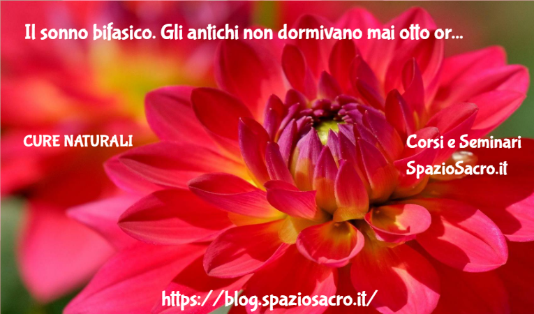 Il sonno bifasico. Gli antichi non dormivano mai otto ore di fila 1 Il Sonno Bifasico. Gli Antichi Non Dormivano Mai Otto Ore Di Fila