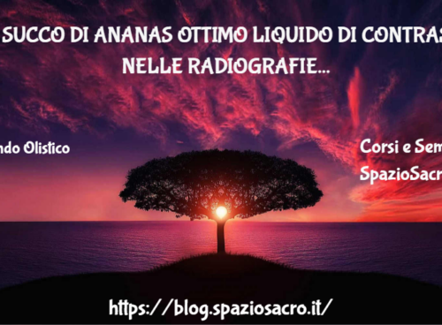 Il succo di ananas ottimo liquido di contrasto nelle radiografie 43 Il Succo Di Ananas Ottimo Liquido Di Contrasto Nelle Radiografie