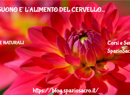 Il Suono E' L'alimento Del Cervello