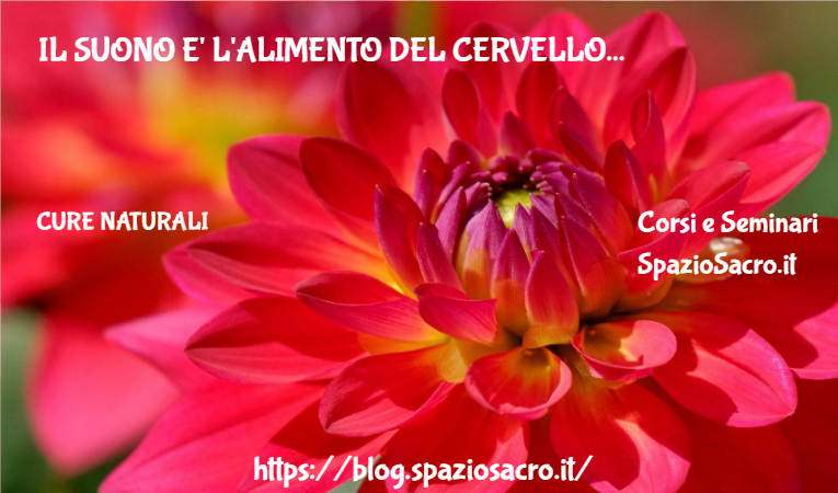 Il suono e' l'alimento del cervello 1 Il Suono E' L'alimento Del Cervello