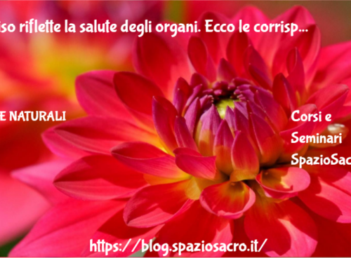 Il Viso Riflette La Salute Degli Organi. Ecco Le Corrispondenze