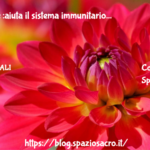 Immunage :aiuta Il Sistema Immunitario