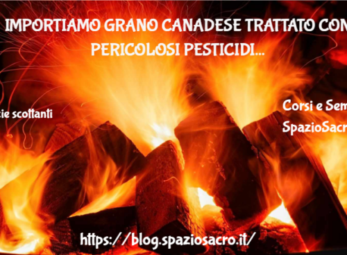 Importiamo grano canadese trattato con pericolosi pesticidi 39 Importiamo Grano Canadese Trattato Con Pericolosi Pesticidi