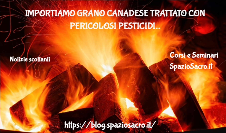Importiamo grano canadese trattato con pericolosi pesticidi 1 Importiamo Grano Canadese Trattato Con Pericolosi Pesticidi