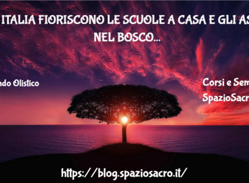 In italia fioriscono le scuole a casa e gli asili nel bosco 17 In Italia Fioriscono Le Scuole A Casa E Gli Asili Nel Bosco