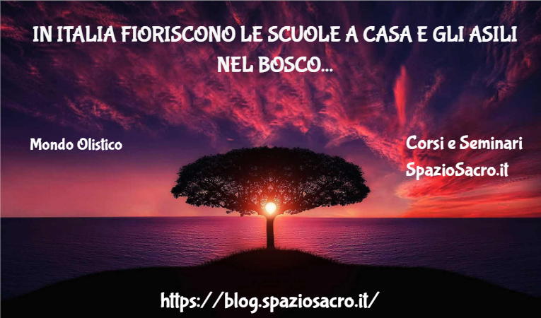 In Italia Fioriscono Le Scuole A Casa E Gli Asili Nel Bosco