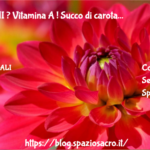 Infezioni ? Vitamina A ! Succo Di Carota