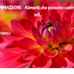 Infiammazioni : Alimenti Che Possono Contrastare Le Infiammazioni