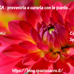 Influenza : Prevenirla E Curarla Con Le Piante