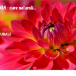 Insonnia : Cure Naturali