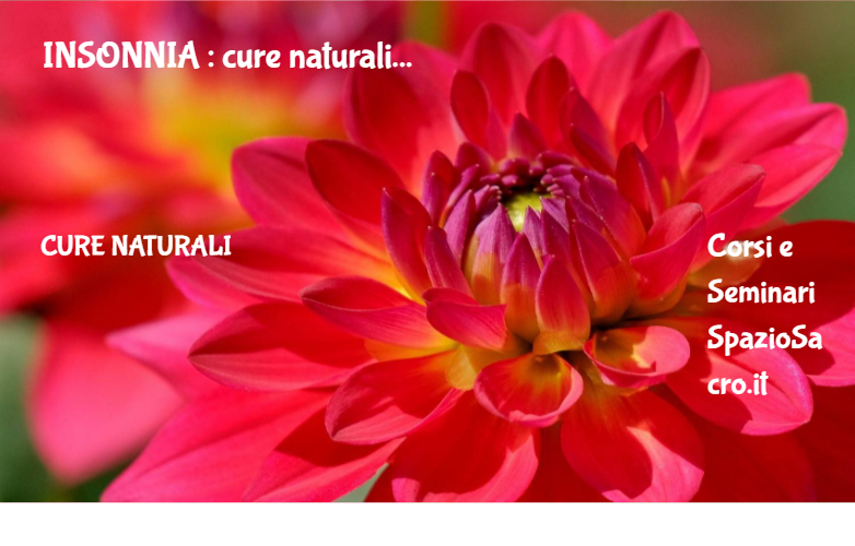 INSONNIA : cure naturali 1 Insonnia : Cure Naturali
