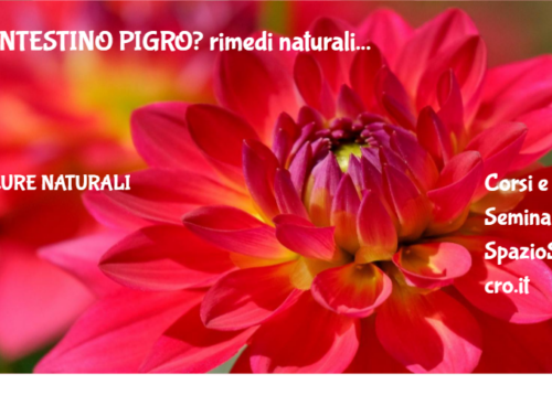 INTESTINO PIGRO? rimedi naturali 28 Intestino Pigro? Rimedi Naturali