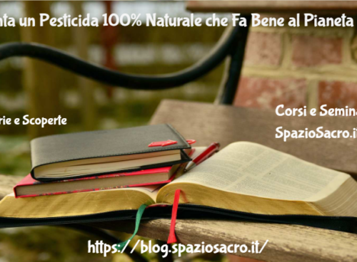 Inventa Un Pesticida 100% Naturale Che Fa Bene Al Pianeta Ma Nessuno Ne Parla