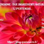 Ipertensione : due ingredienti naturali per l'ipertensione 2 Ipertensione : Due Ingredienti Naturali Per L'ipertensione