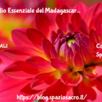 Katrafay Olio Essenziale del Madagascar 2 Katrafay Olio Essenziale Del Madagascar