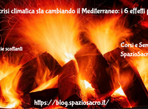 La Crisi Climatica Sta Cambiando Il Mediterraneo: I 6 Effetti Principali