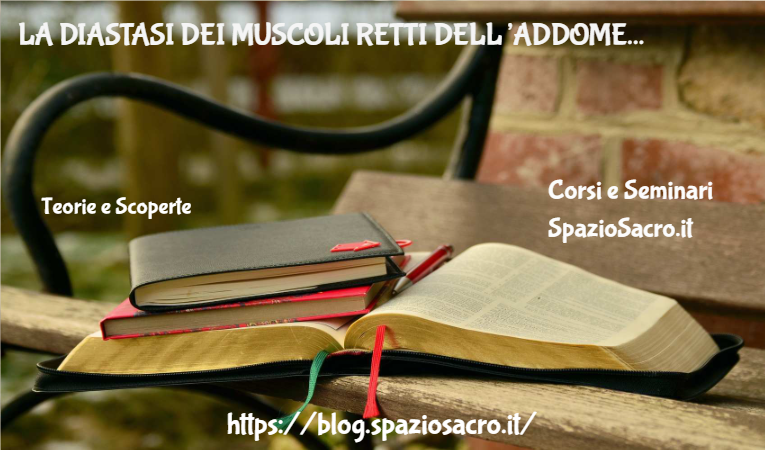 La diastasi dei muscoli retti dell'addome 1 La Diastasi Dei Muscoli Retti Dell’addome