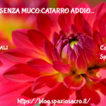La Dieta Senza Muco:catarro Addio