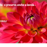 La Fertilita' Si Preserva Anche A Tavola